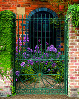 Courtyard View